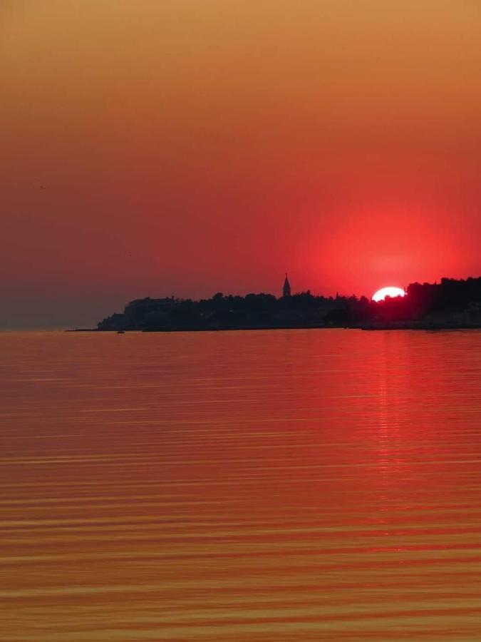 Apartments Roberta Novigrad (Istria) Exterior foto