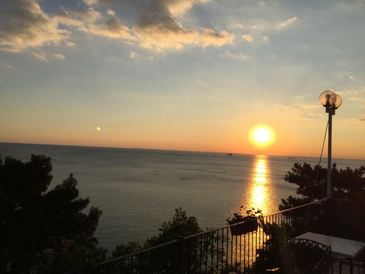 Apartments Roberta Novigrad (Istria) Exterior foto